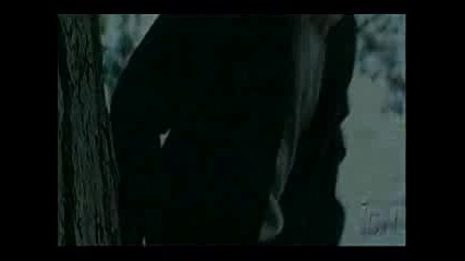Harry Potter - Hermione - Magic The Police