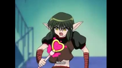 Tokyo mew mew - 27 - 3/3