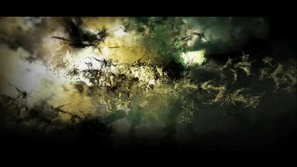Syn Emergence