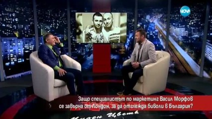 Защо специалист по маркетинг се завърна от Лондон, за да отглежда биволи у нас?