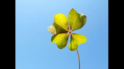 Ernesto Cortazar - Relaxing Piano Music - Official Site - Four Shining Stars 