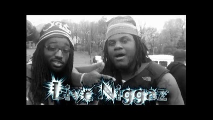 The Zim ( Feat. Fat Trel ) - Live Nggaz