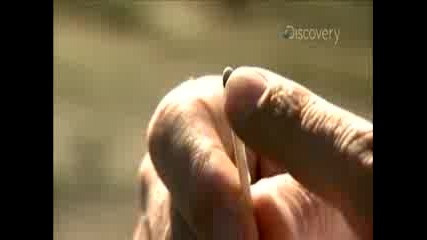 Mythbusters Match Bomb