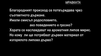 Библията на Мъдрия Мравун 7