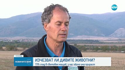 Застрашени от изчезване: В световен мащаб популациите на диви животни са намалели с 73%