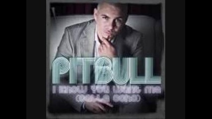 Pitbull ft. Paul Wall - Brag