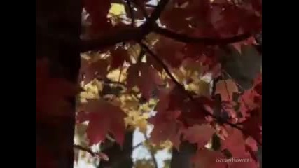 Nat King Cole - Autumn Leaves