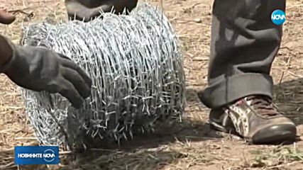 АБВ не одобрява мерките срещу африканската чума край границата ни с Румъния