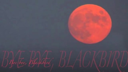 Bye bye, Blackbird - Melody Gardot
