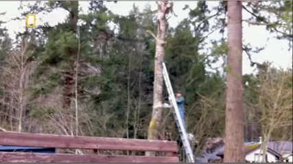 Теория На Глупоста Бг Аудио С02 Е11-12 Цял Епизод