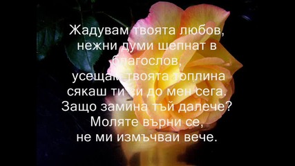 lipsvash mi