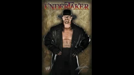 top 22 wwe stars 