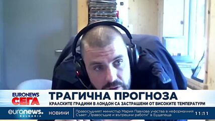 Кралските градини в Лондон са застрашени от високите температури