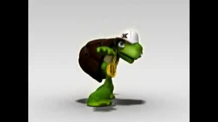 Crazy Turtle