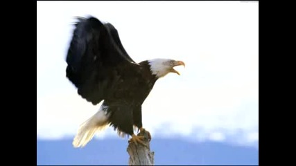 Нашата Природата