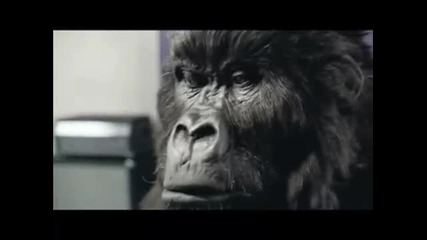 Gorilla vs Cameo - Word Up Remix