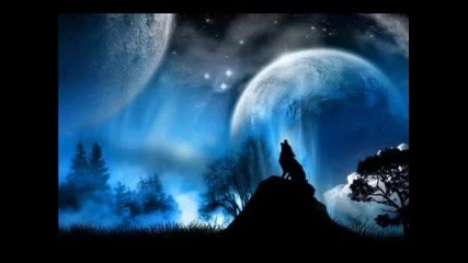 Dave Clarke - The Wolf