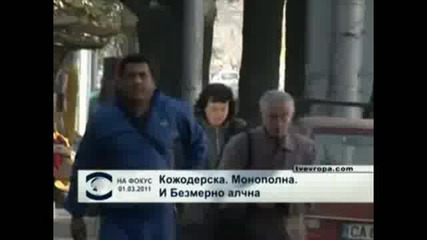 Какво ще се случи на 2011 - 13 Март 