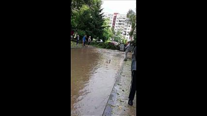 Апокалипсис в Плевен