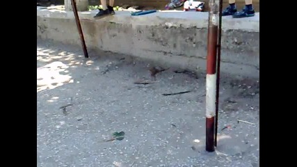 freerun аматиори