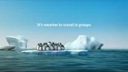 Интелигентни пингвини (анимация)
