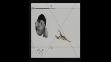 Basic Element - This Must Be A Dream