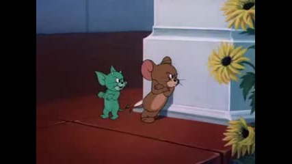 066. Tom & Jerry - Smitten Kitten (1952)