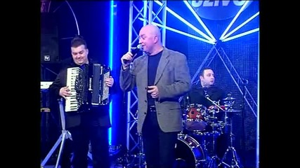 Dva Galebe Bjela от Alija Hajdarevic 
