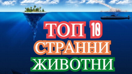 ТОП 10 на най-странните животни на планетата