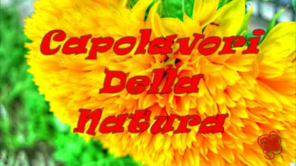 Capolavori Della Natura