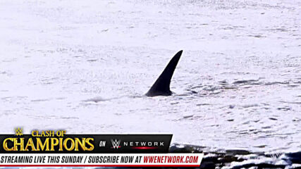 Is a shark chasing R-Truth’s 24/7 Title?: Raw, Sept. 21, 2020