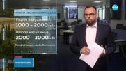 Експерти съветват как да реагираме, ако попаднем на голяма дива котка