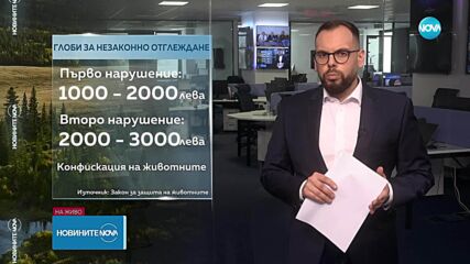 Експерти съветват как да реагираме, ако попаднем на голяма дива котка