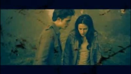 bella and edward - why did you go