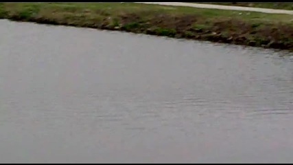 20032011008