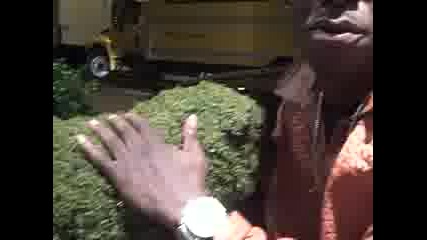 Young Dro И кучето му направено от трева 