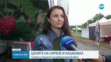 Сирене и кашкавал в евро: Готов ли е браншът да превалутира и откога