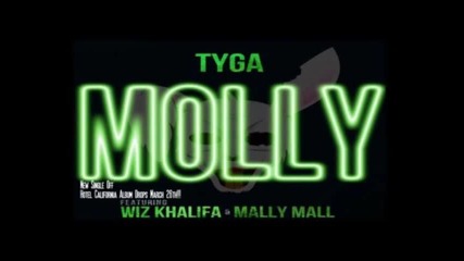 Tyga Ft Wiz Khalifa & Mally Mall - Molly (hotel California)
