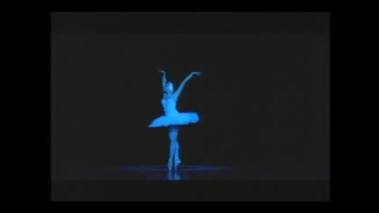 Nina Ananiashvili Dances The Dying Swan