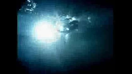 Dima Billan - See What I See