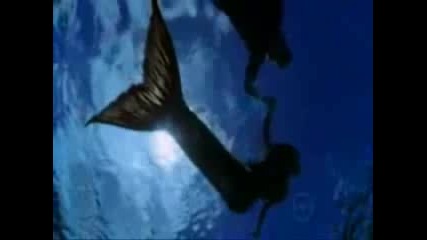 H2o Just Add Water - Amazing Kiss :*:*:*