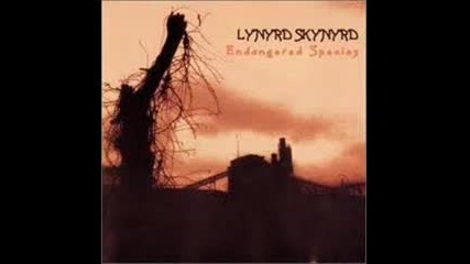 Lynyrd Skynyrd - The Last Rebel (acoustic Version)