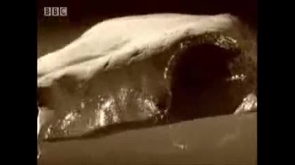 най-смъртоносната котка, което някога ходеше по земята