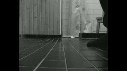 The Bathroom