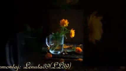 Iar mi-i sufletul pustiu