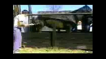 Accident Mix