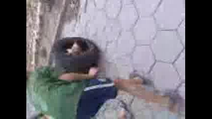 Видео000.3gp