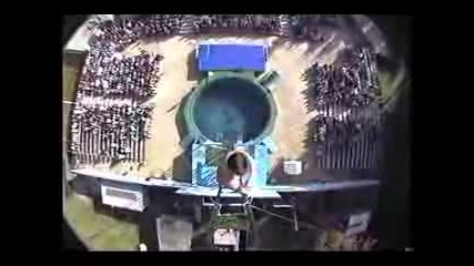 High Dive