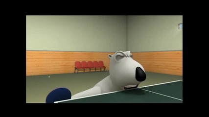 Bernard мечето - Тенис на маса H D