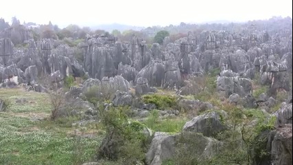 Каменната гора в Китай 